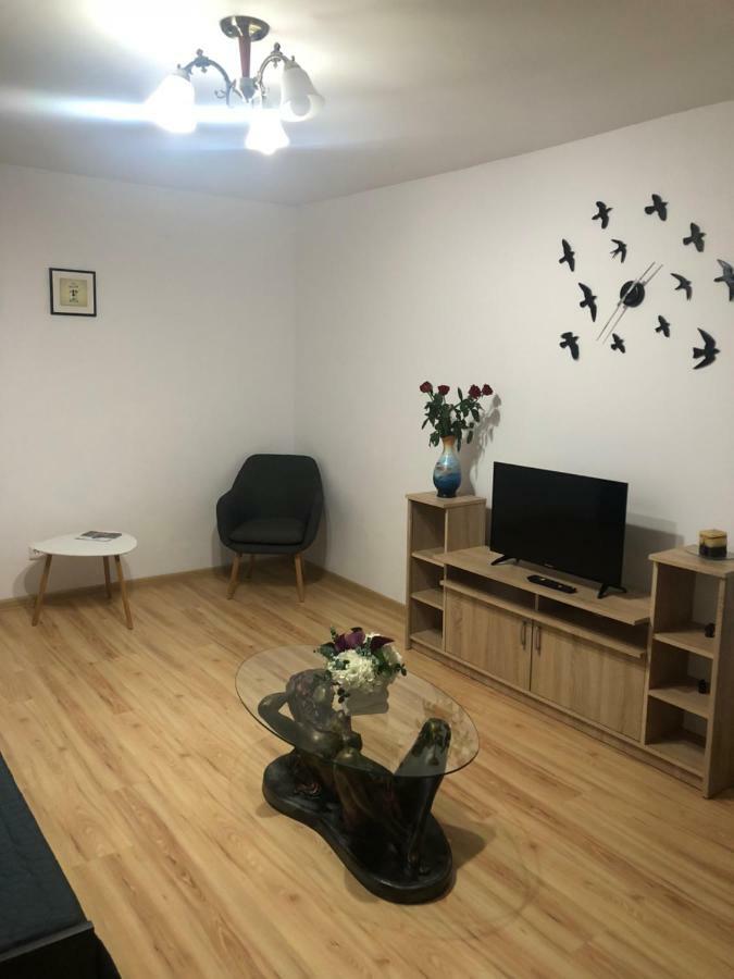 Apartament Kiseleff Drobeta Turnu Severin Dış mekan fotoğraf