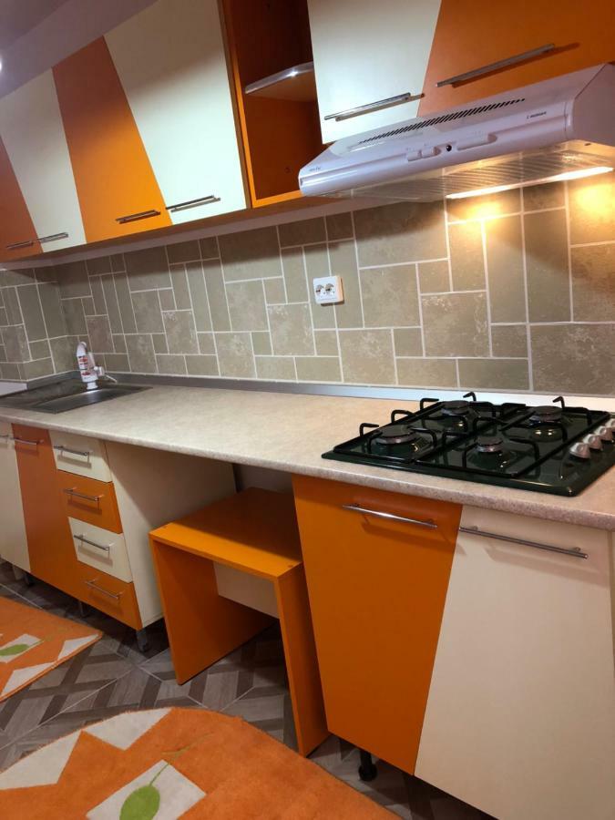 Apartament Kiseleff Drobeta Turnu Severin Dış mekan fotoğraf